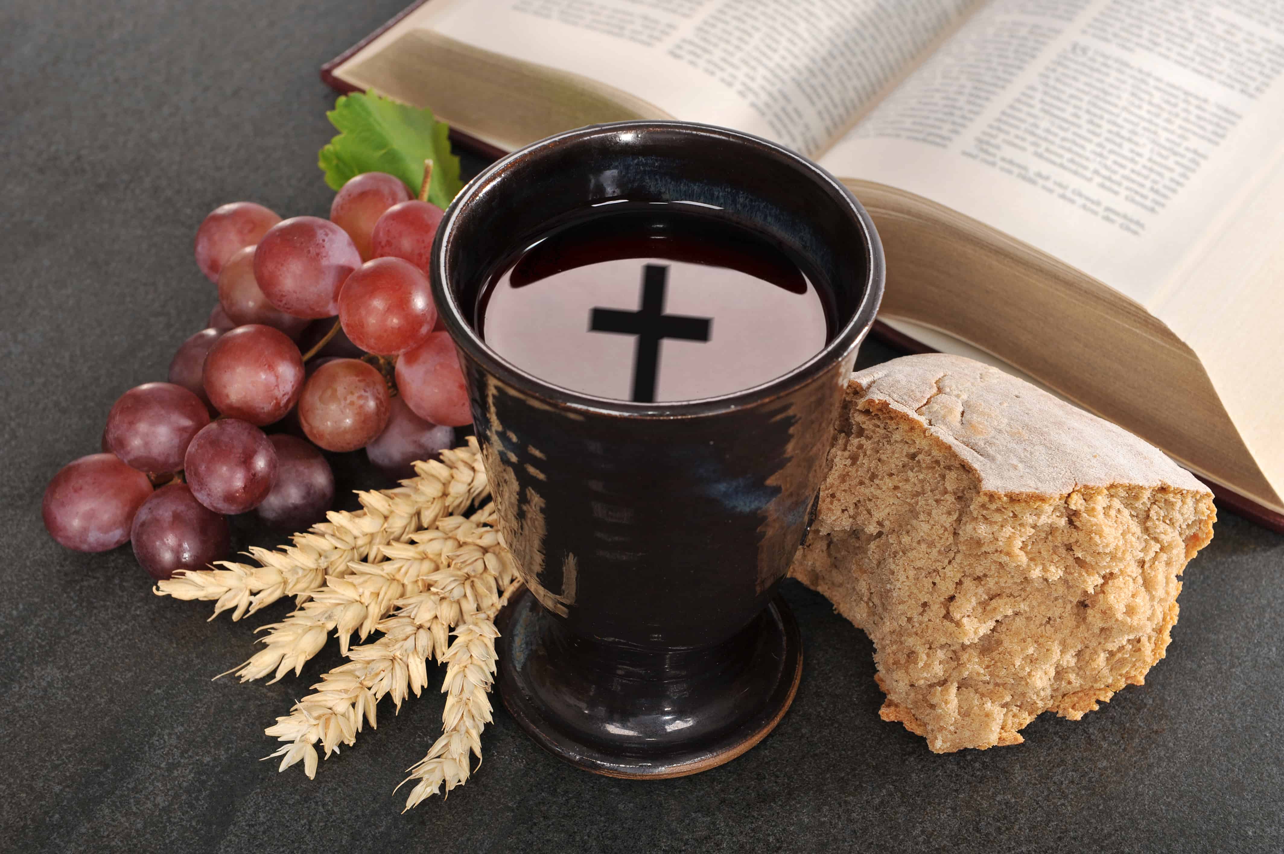 Bread and wine – Mother Seton Catholic Church