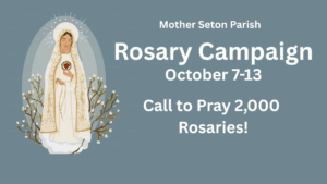 Rosary Campaign
