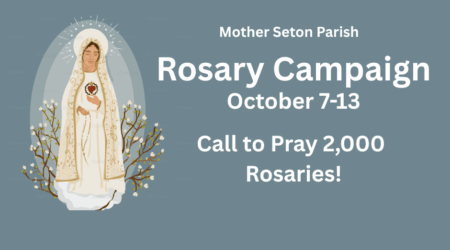 Rosary Campaign