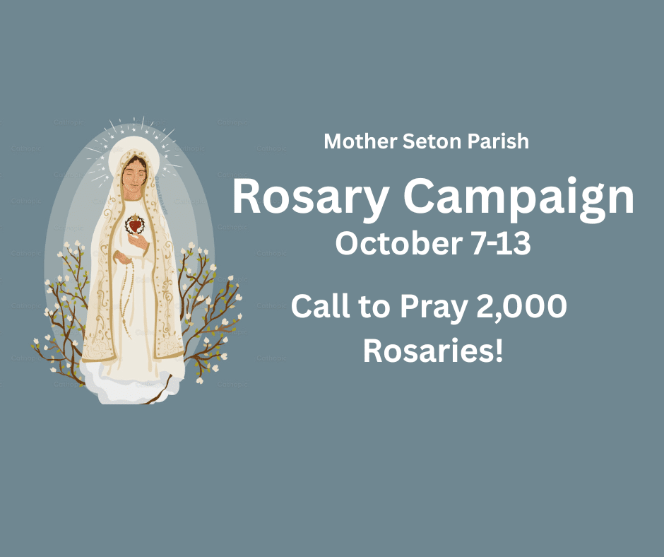Rosary Campaign