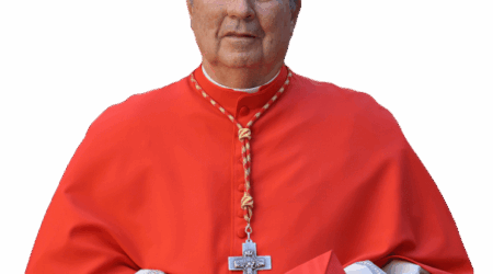 Special Mass with Cardinal Christophe Pierre